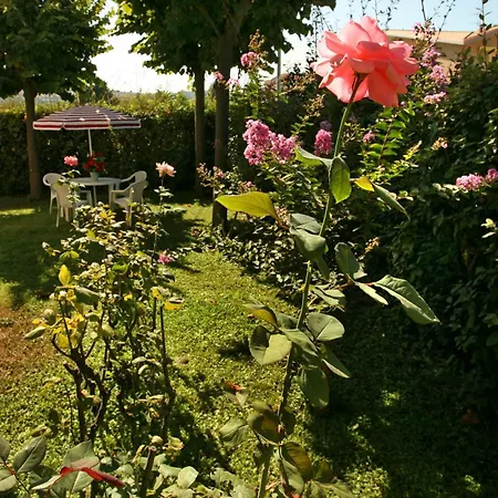B&B Il Parco Dei Pini-2